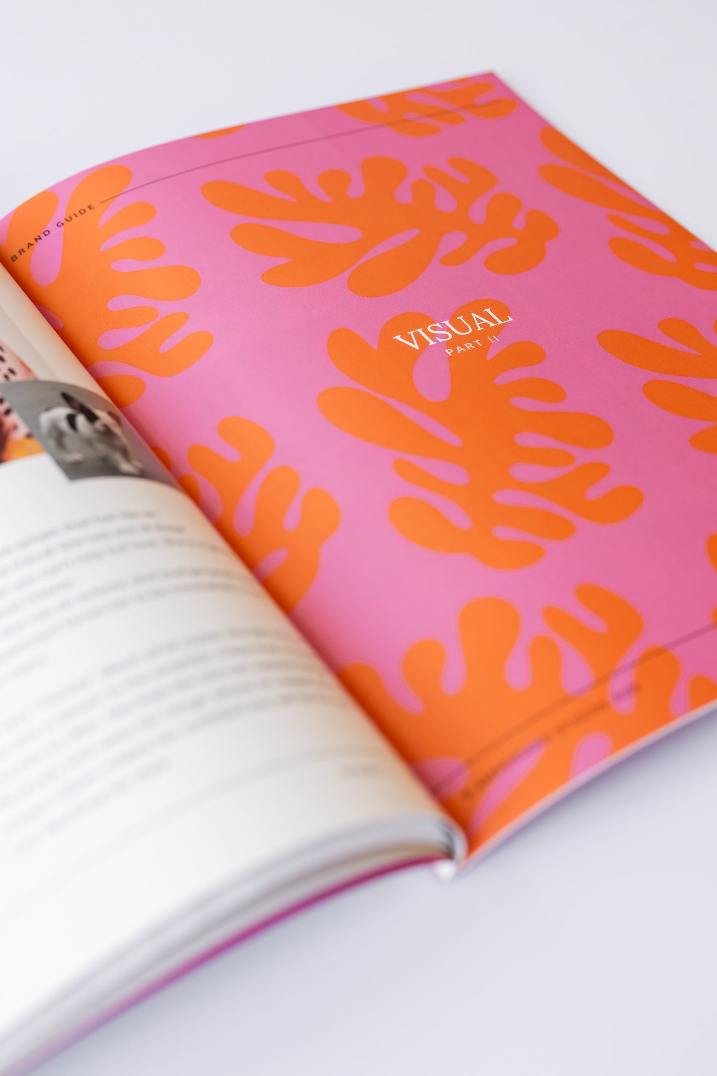 Voice + Visual Brand Guide Canva Template
